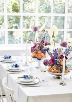 Royal Copenhagen Blueline Coupe Tallerken -Royal Copenhagen 3990 3d32b84e e90f 4c58 ad07 af43a8f322a4